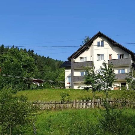 Casa Danci Centru Villa Borsa  Kültér fotó