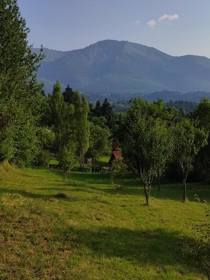 Casa Danci Centru Villa Borsa  Kültér fotó