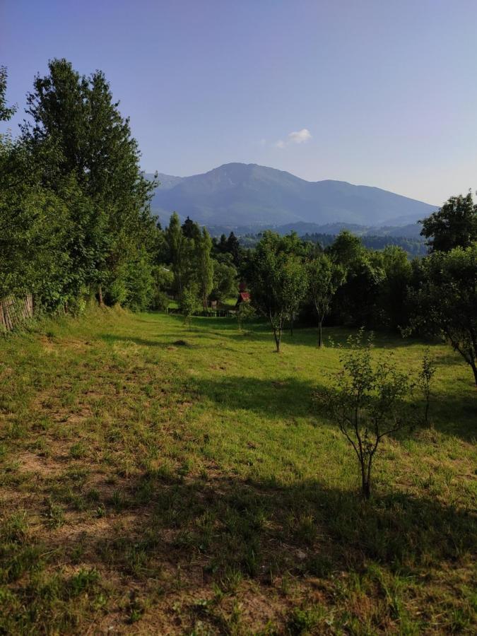 Casa Danci Centru Villa Borsa  Kültér fotó