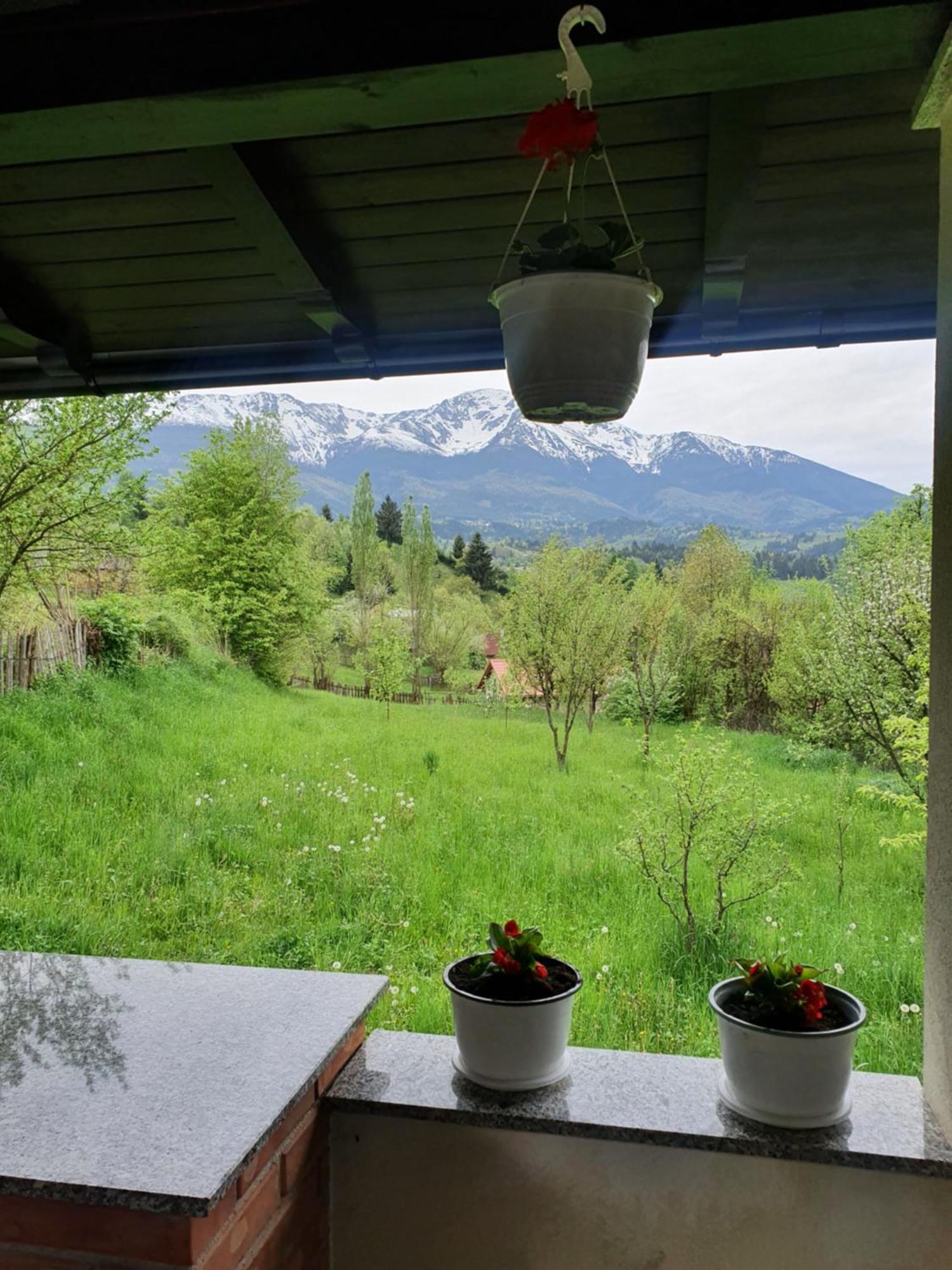 Casa Danci Centru Villa Borsa  Szoba fotó
