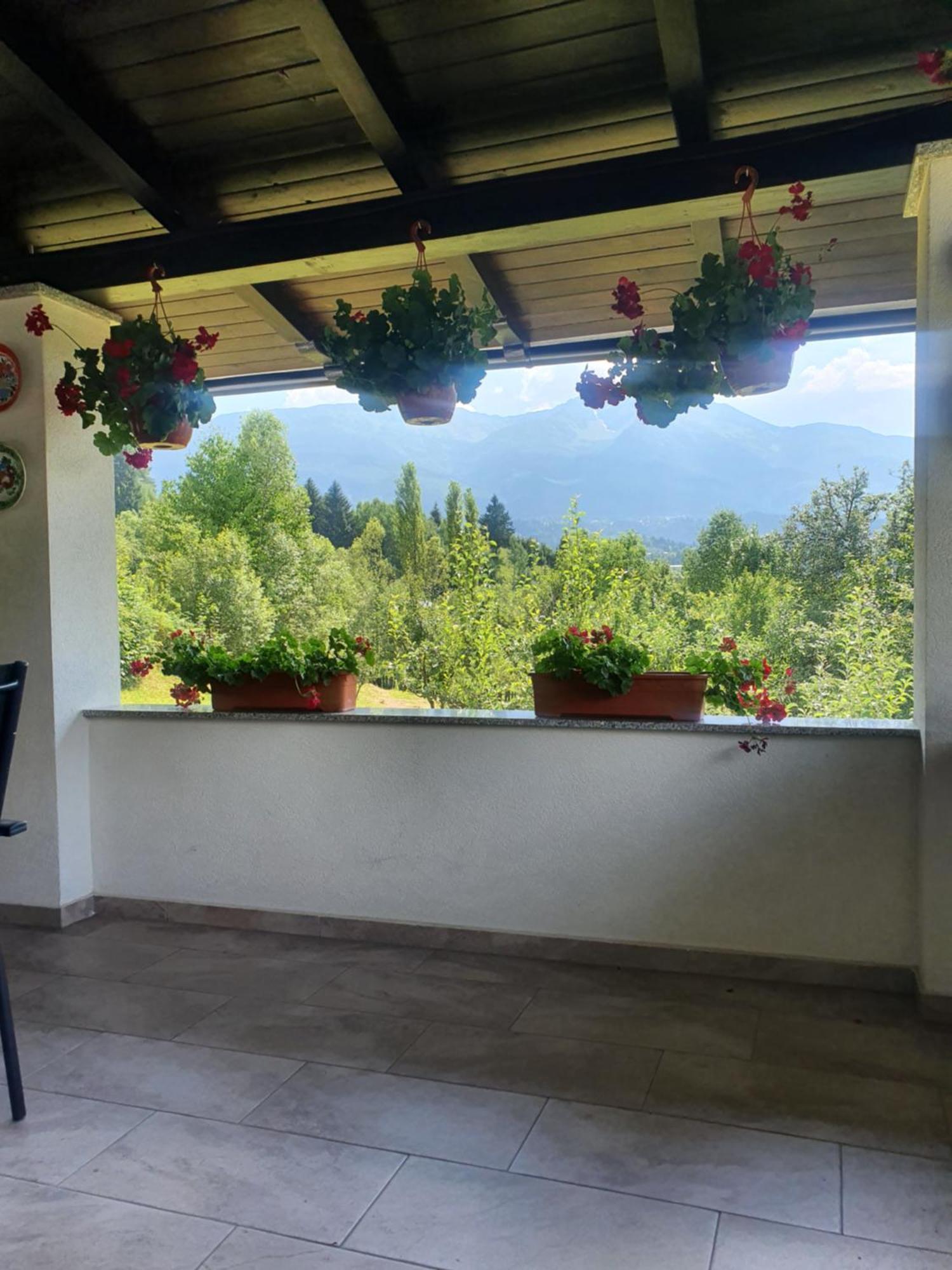 Casa Danci Centru Villa Borsa  Kültér fotó