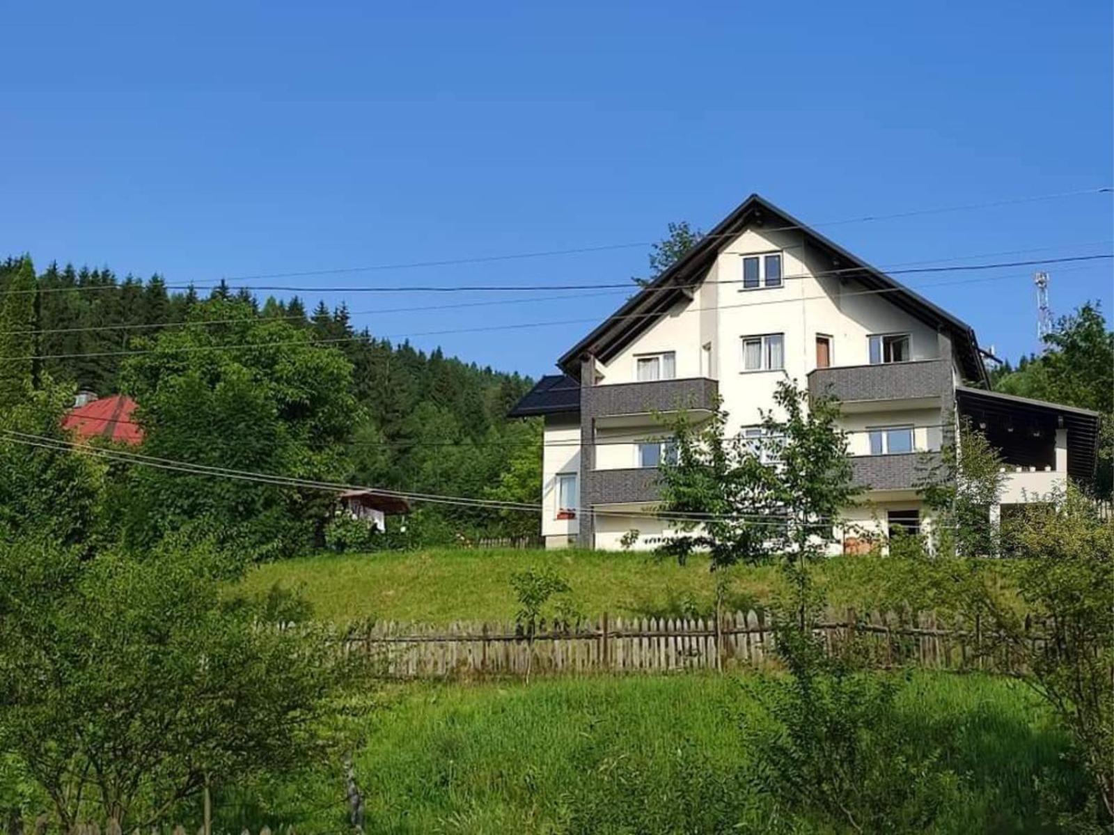 Casa Danci Centru Villa Borsa  Kültér fotó